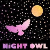 Night Owl